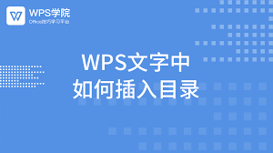 WPS-6
